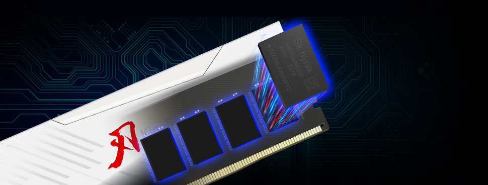 Kingbank RGB 288-Pin PC RAM DDR5 Desktop Memory