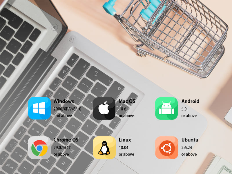 Easy to connect and use, Multisystem Compatibility