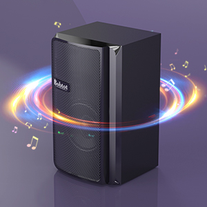 image for this item
