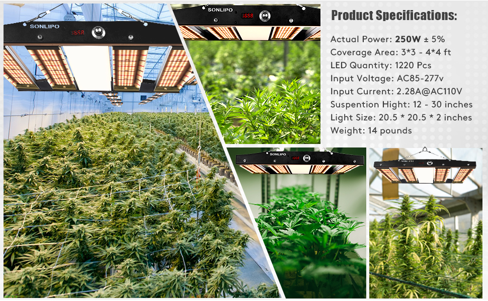SPC2500 LED Grow Light