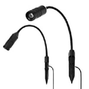 image for this item