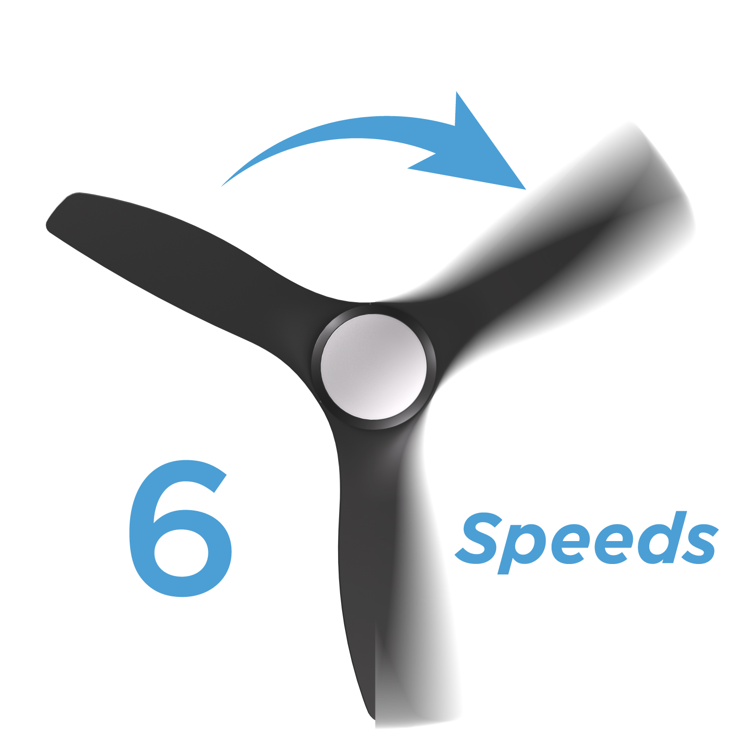 image for this item
