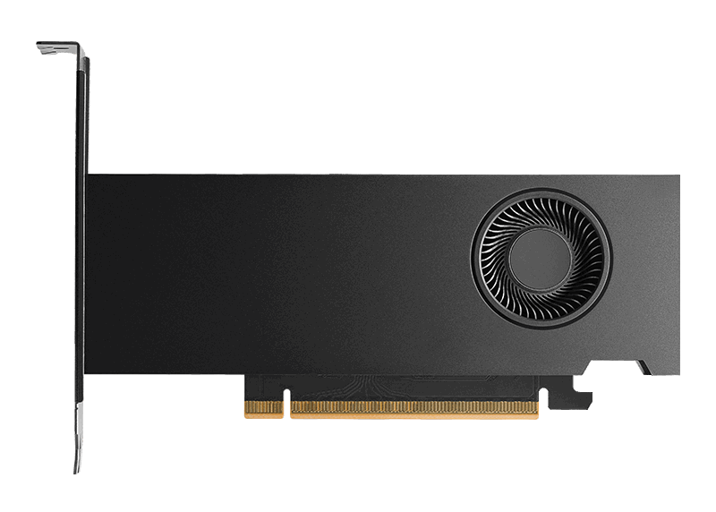 PNY NVIDIA RTX PRO 2000 Blackwell Graphics Card