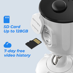 image for this item