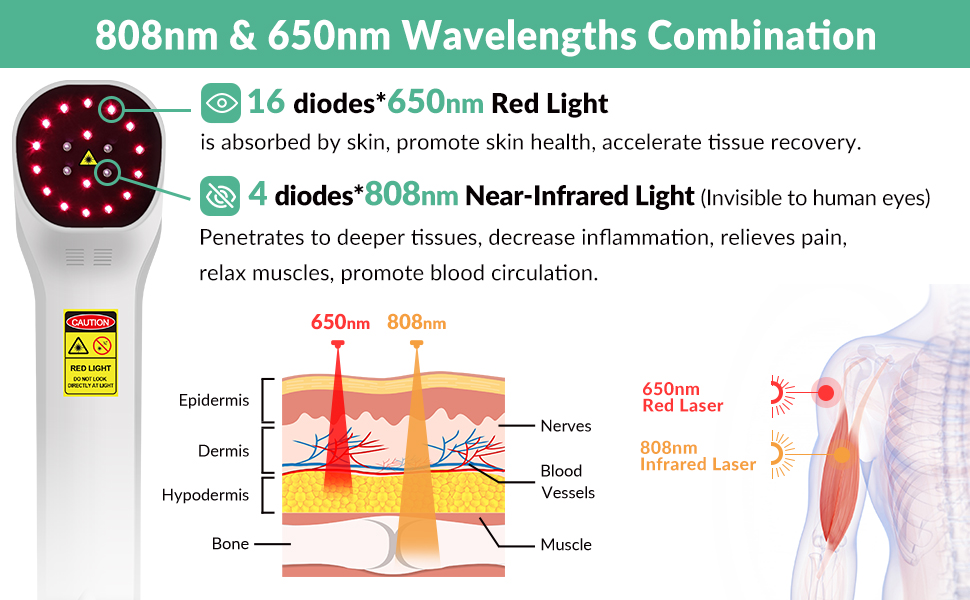 Red light Therapy device has 2 wavelengths: 4x808nm +16X650nm