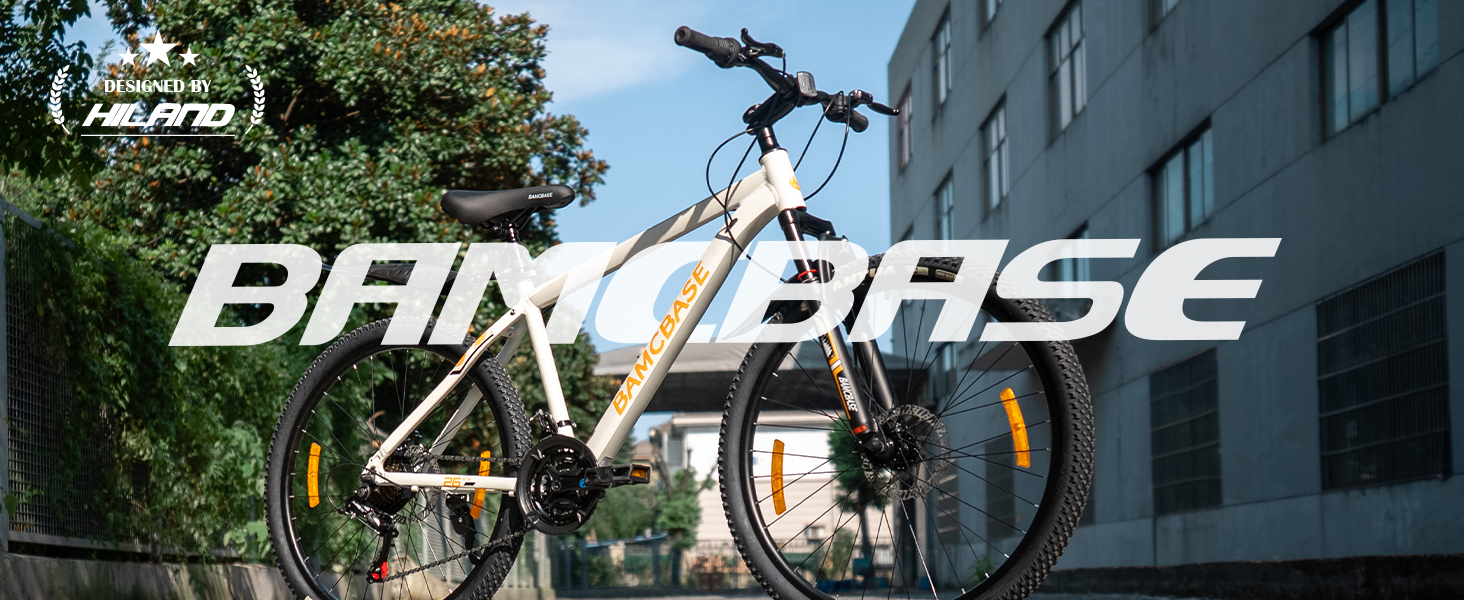 Product Introduction