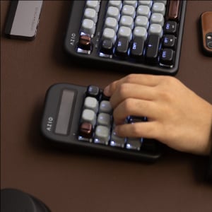 image for this item