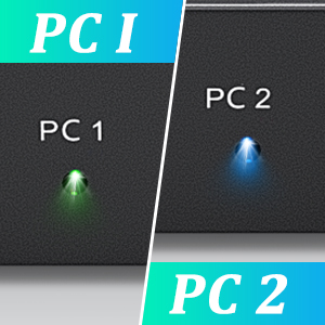 Two-color indicator