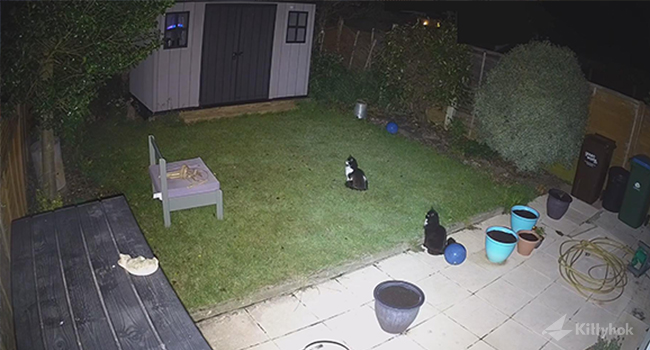 security camera night vision