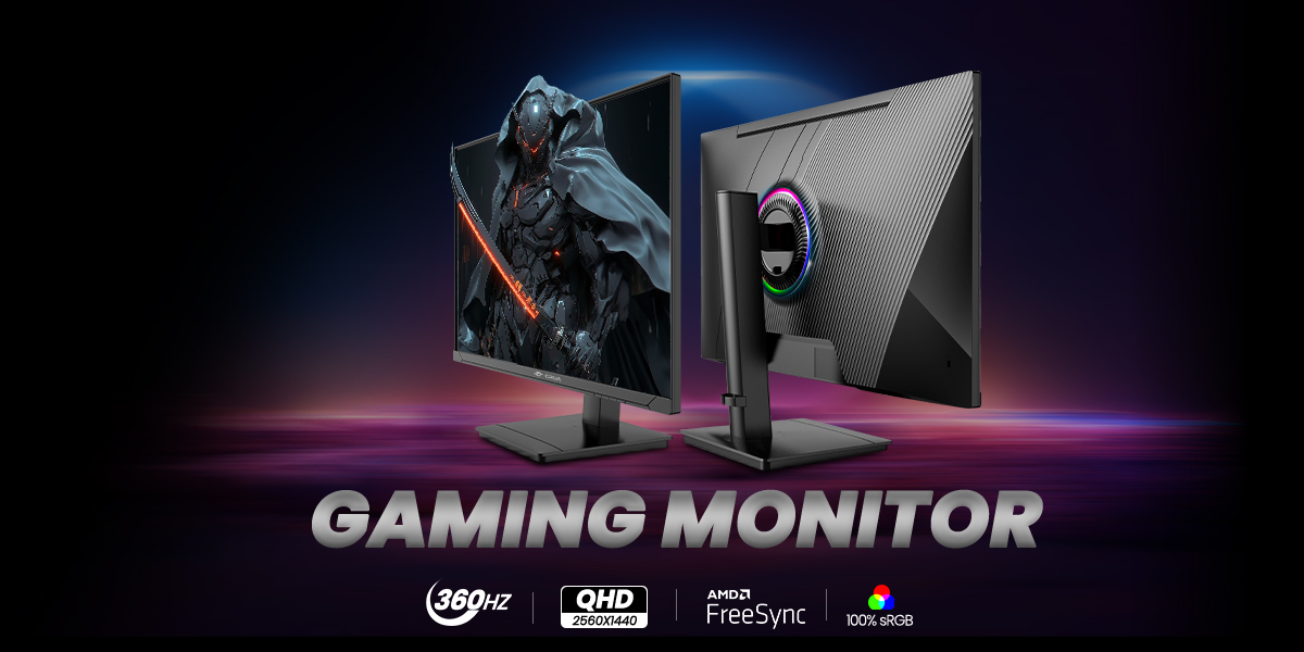 GAMING MONITOR