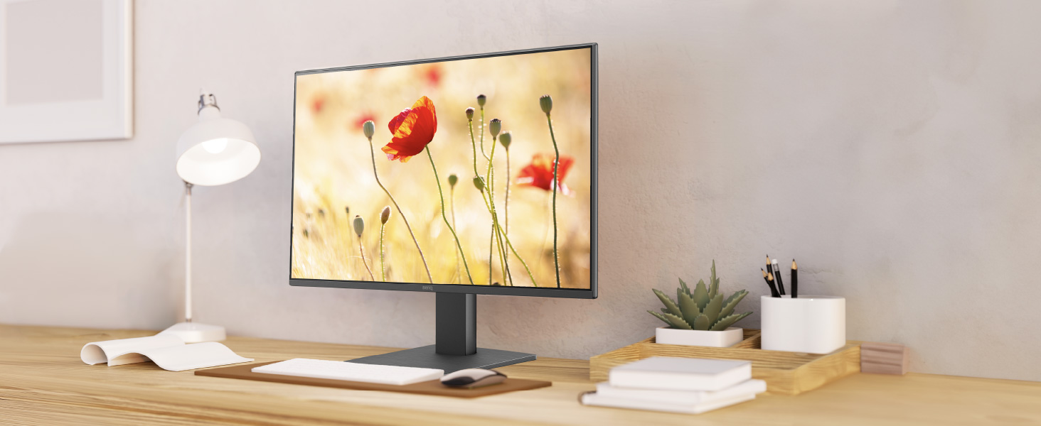 BenQ GW2491 1080p FHD 100Hz IPS Eye-Care Monitor