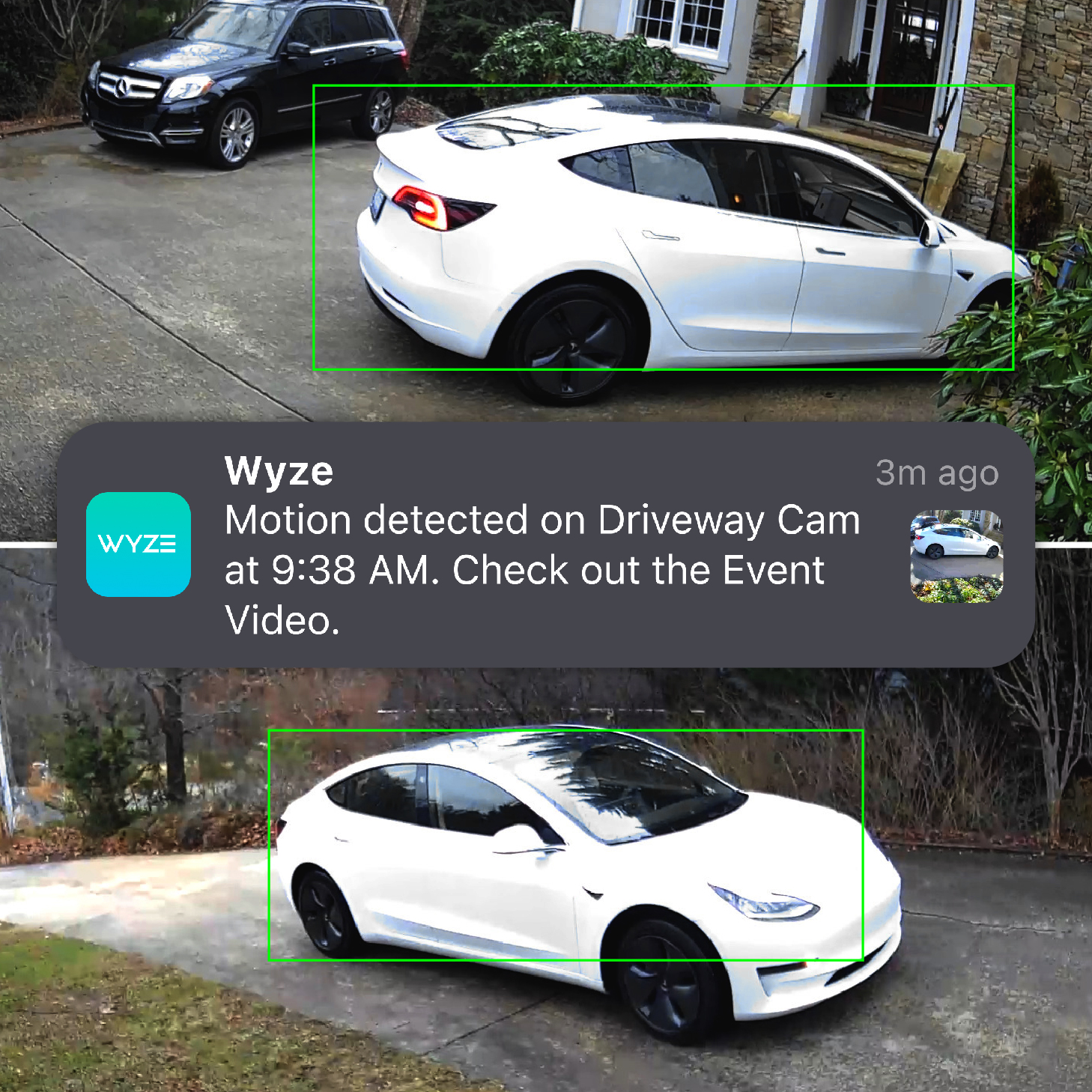 Wyze Cam Pan v3 Motion Tracking