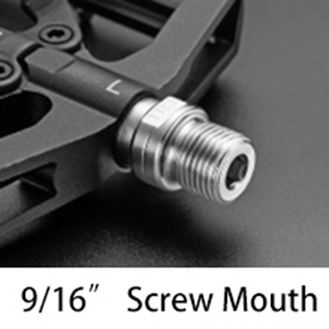 image for this item
