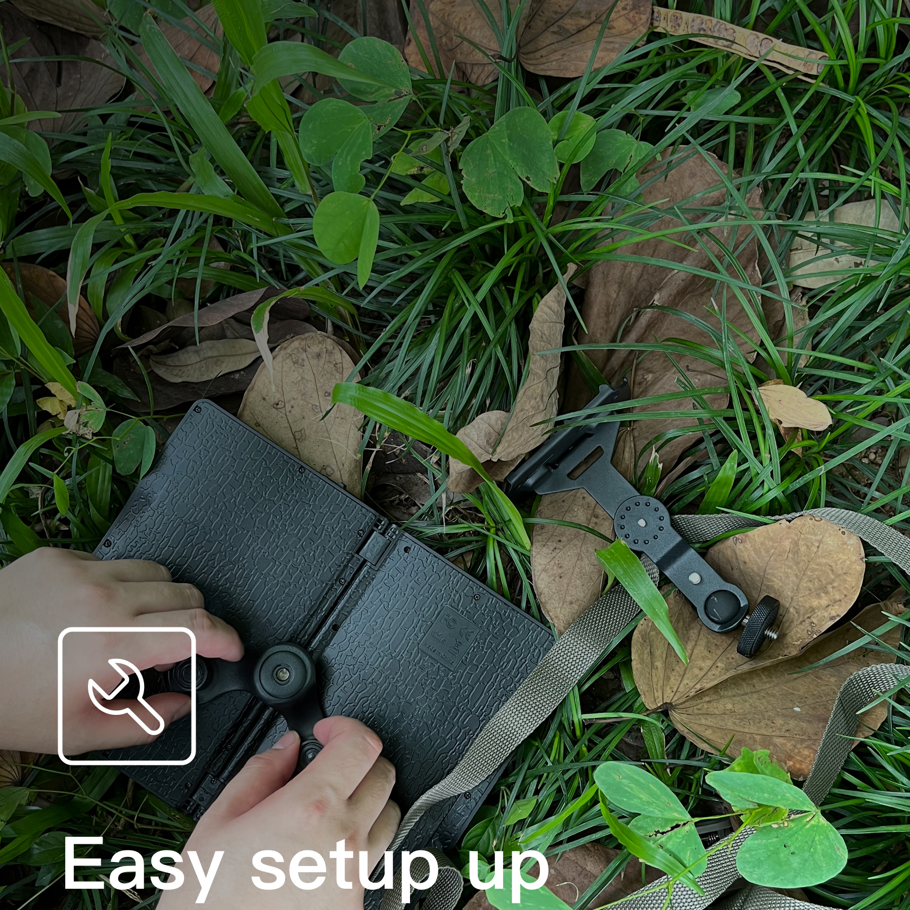 image for this item