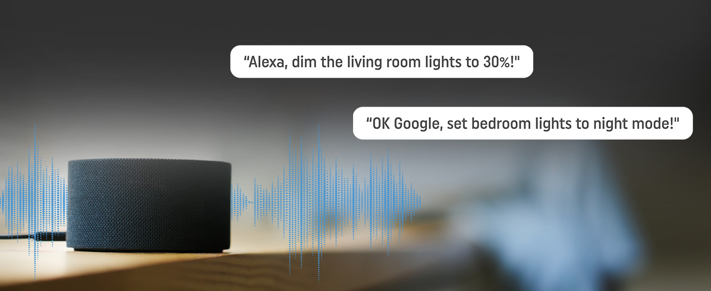 Shelly Plus 0-10V Dimmer - Compatibility with Google Home et Alexa