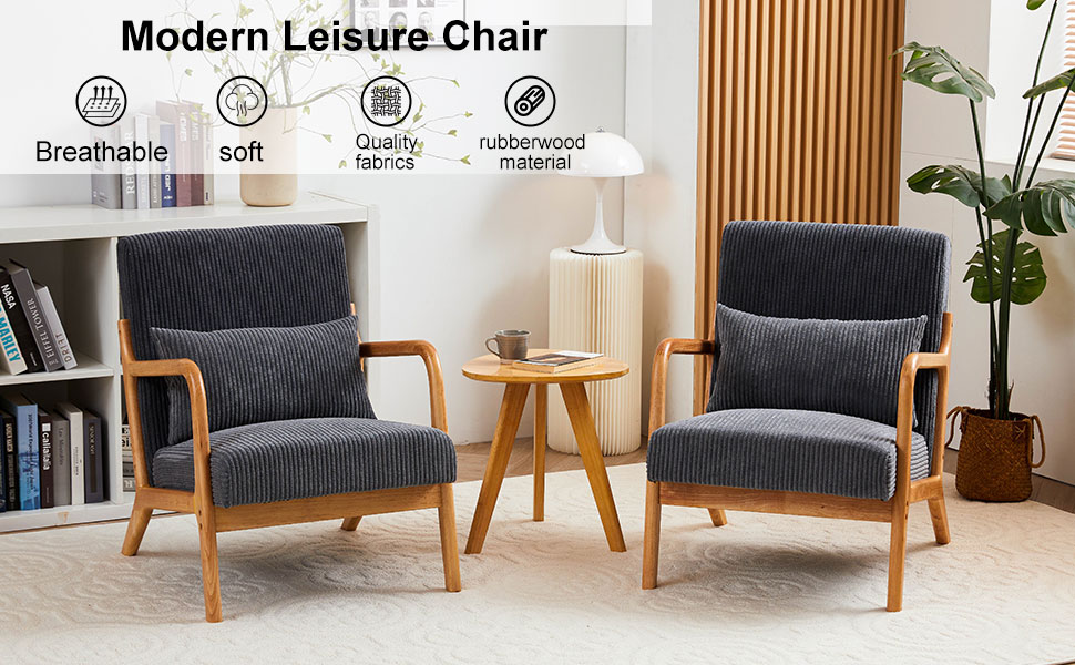 modern leisure chair