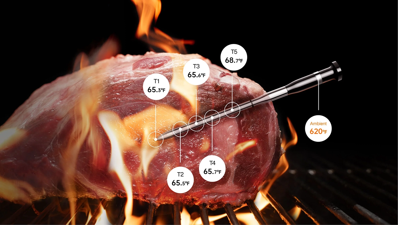 Typhur Sync One Smart Wireless Meat Thermometer
