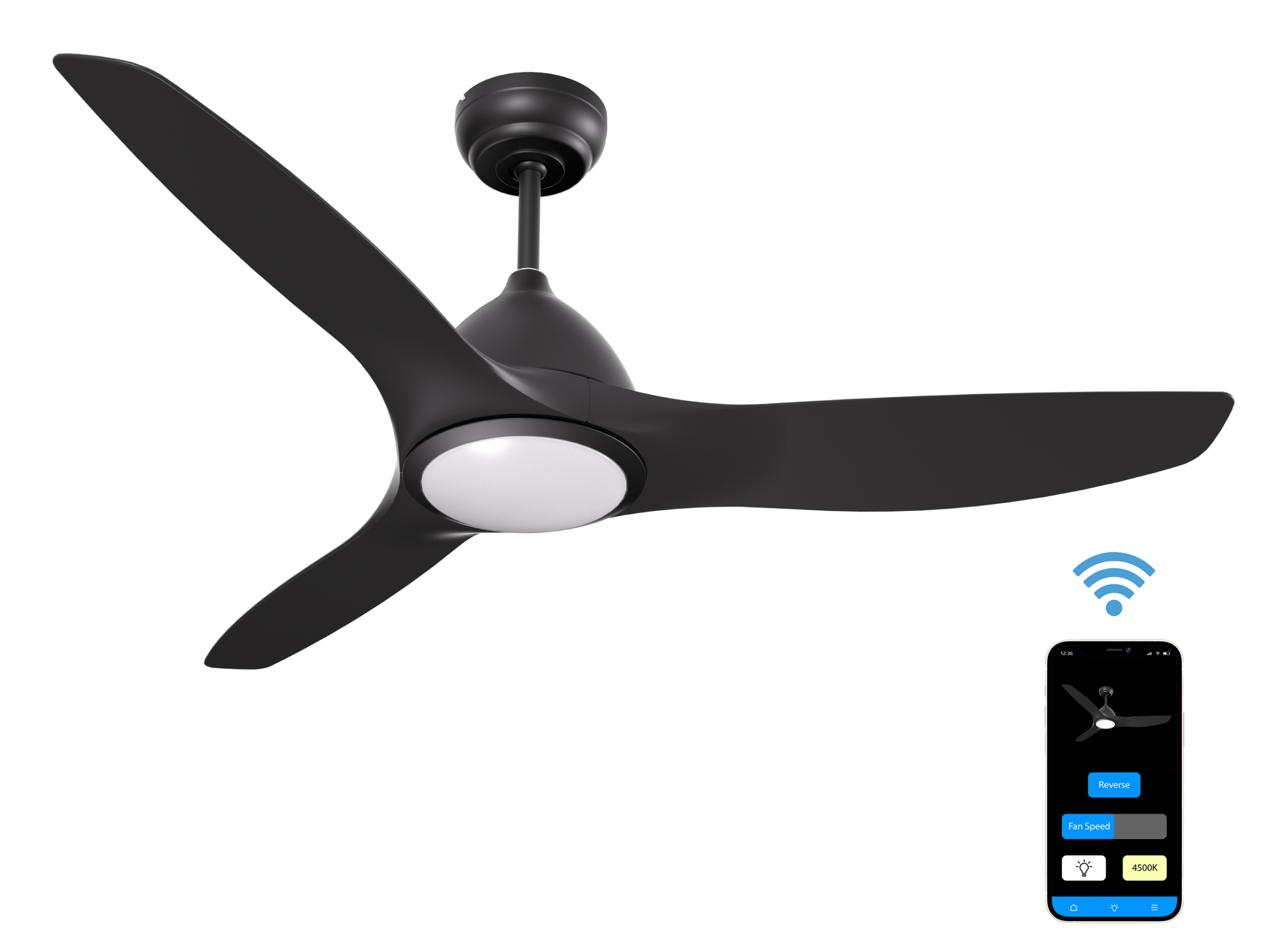 image for this item
