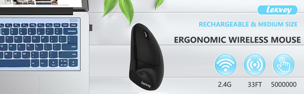 ergonomic mouse
