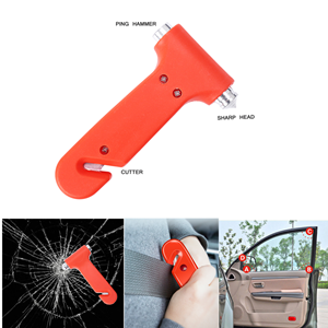 image for this item