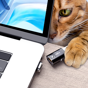 Safe magnetic adsorption