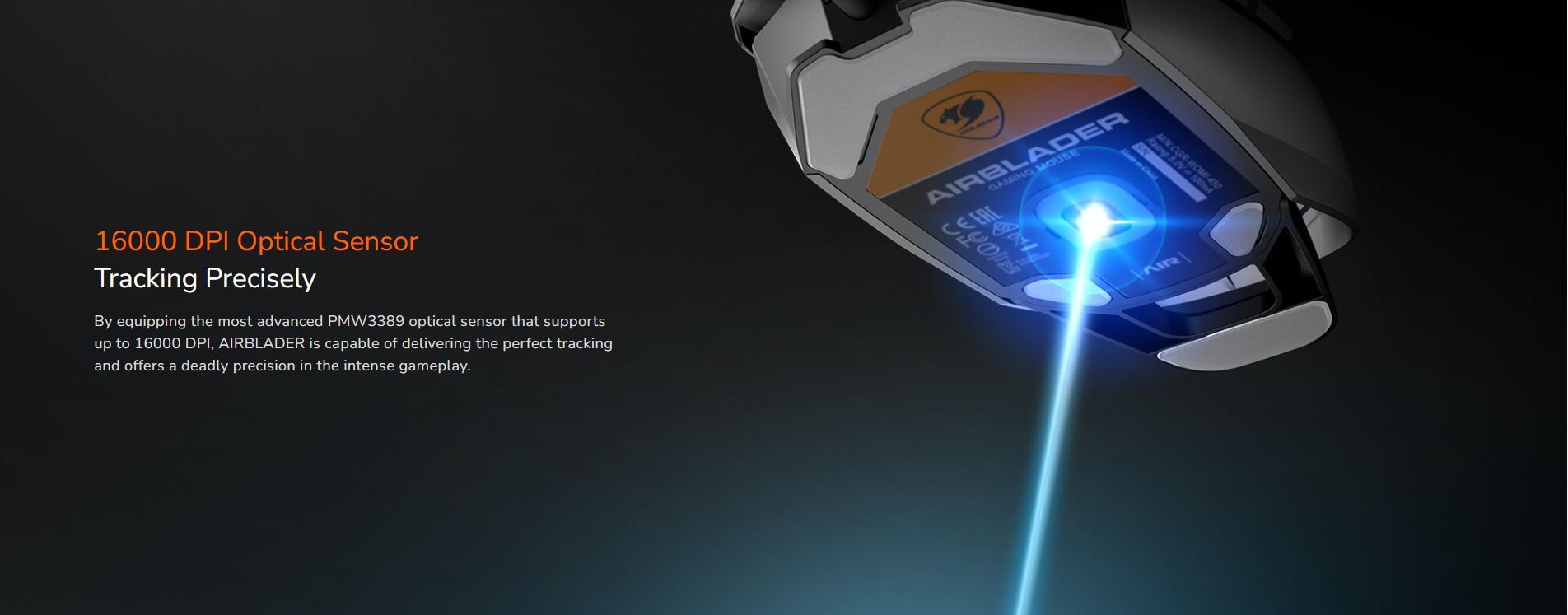 image for this item