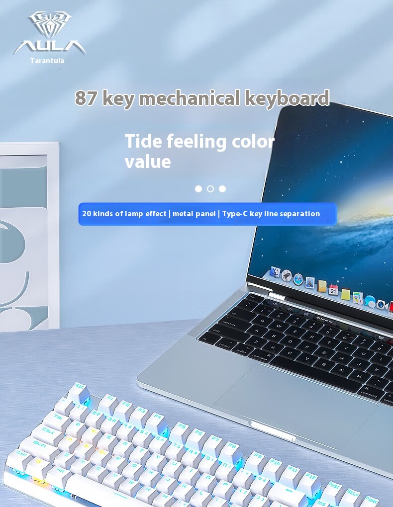 F3087 Gray-Black Dual