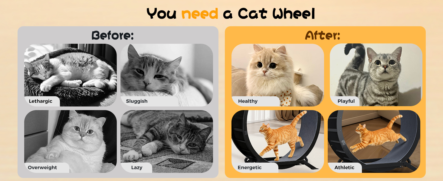 GTPLAYER Cat Wheels