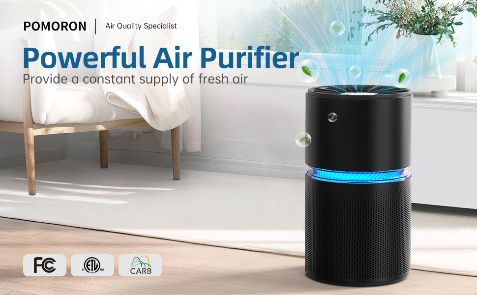 AIRTOK Air Purifiers for Bedroom Home, H13 True HEPA Air Filter for Smoke,  Dust, Odors, Pollen, Pet Dander 99.97% Removal, Air Purifiers Large Room