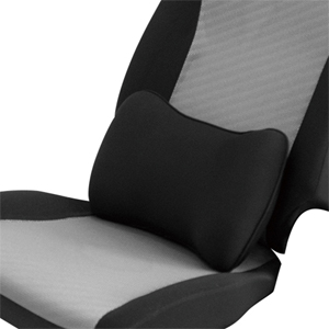 LARROUS Memory Foam Lumbar Support Pillow for Car, Lower Back Pain Relief,  with Adjustable Strap, for Car Seat and Office Chair (Black)
