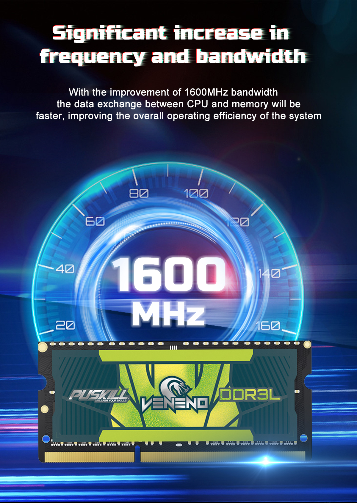 DDR3L Memory RAM