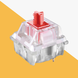 image for this item