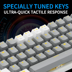 image for this item