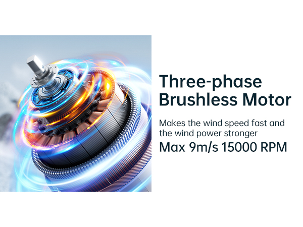 Three-phase Brushless Motor