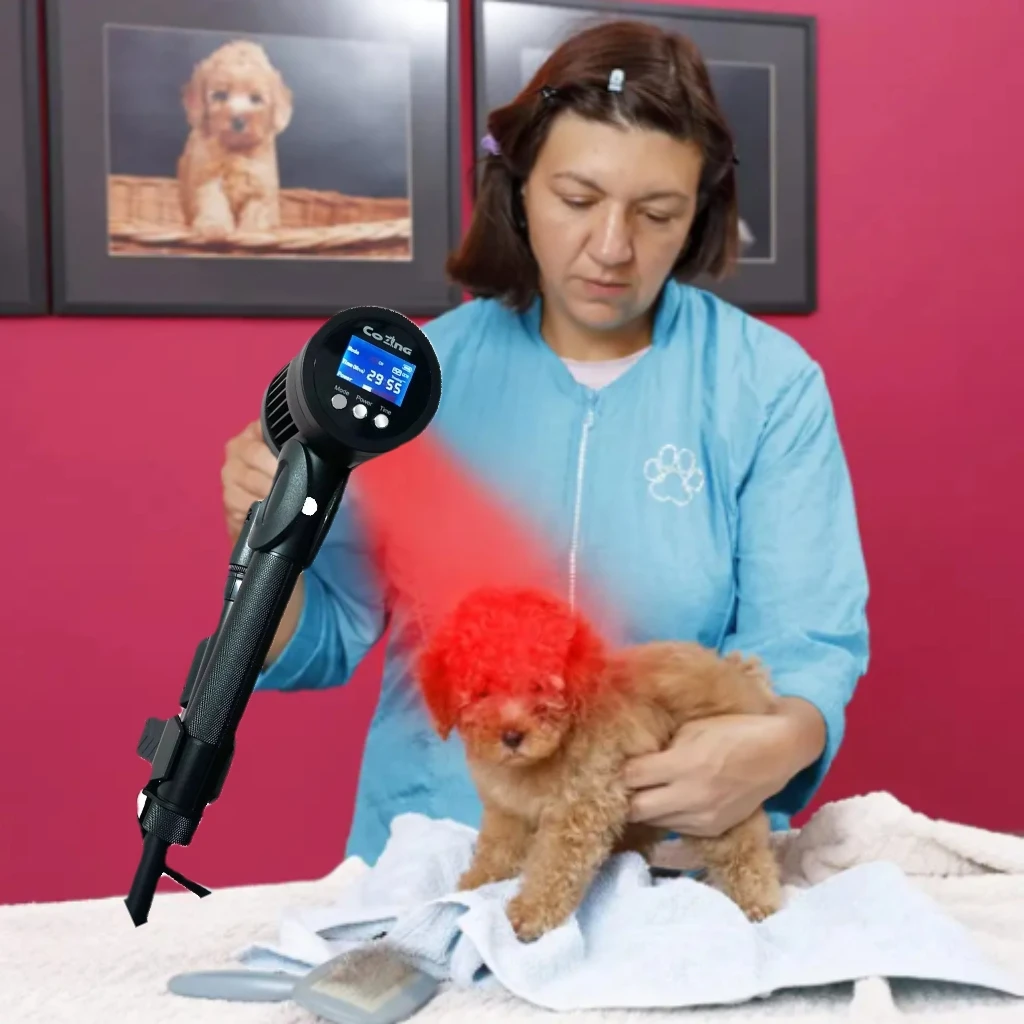 The principle of laser therapy