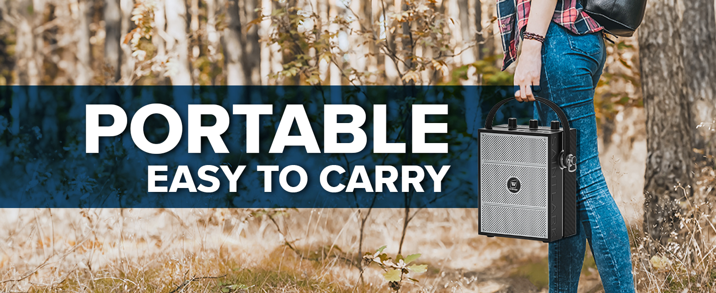 portable pa speaker