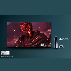 image for this item
