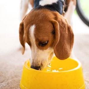 Healthier water for drink