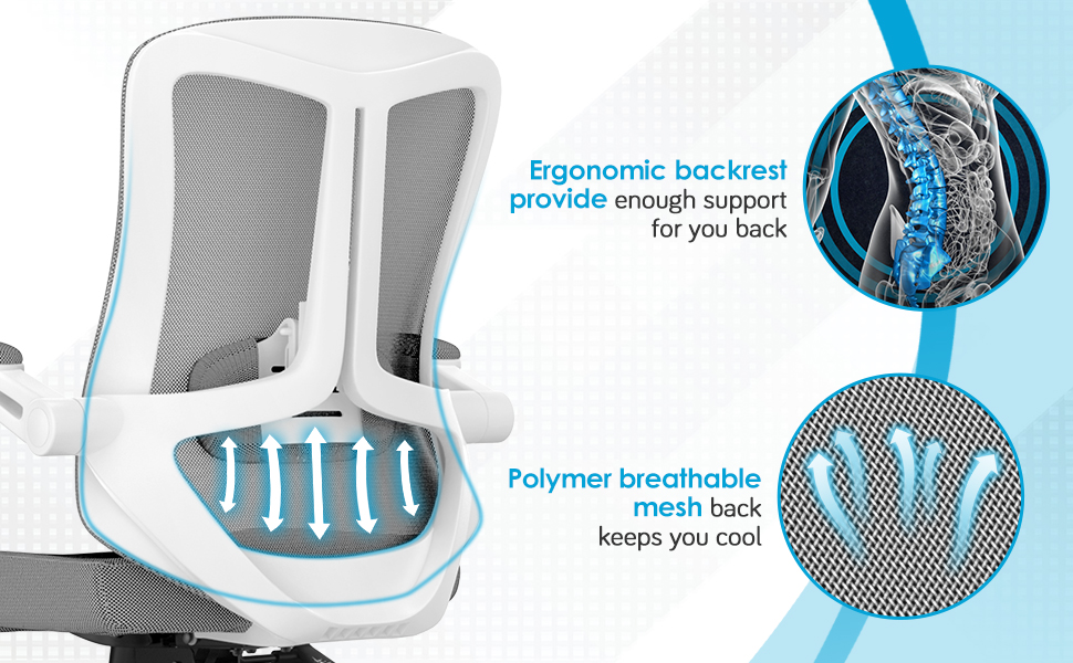 Office Chair Ergonomic Desk Chair