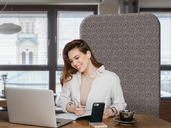 standing room divider  webcam background