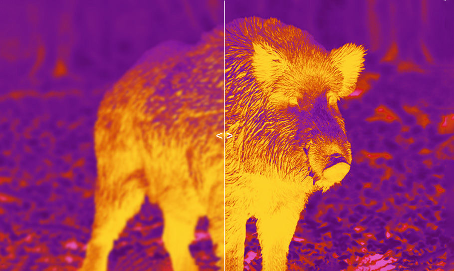 Thermal imaging night vision device