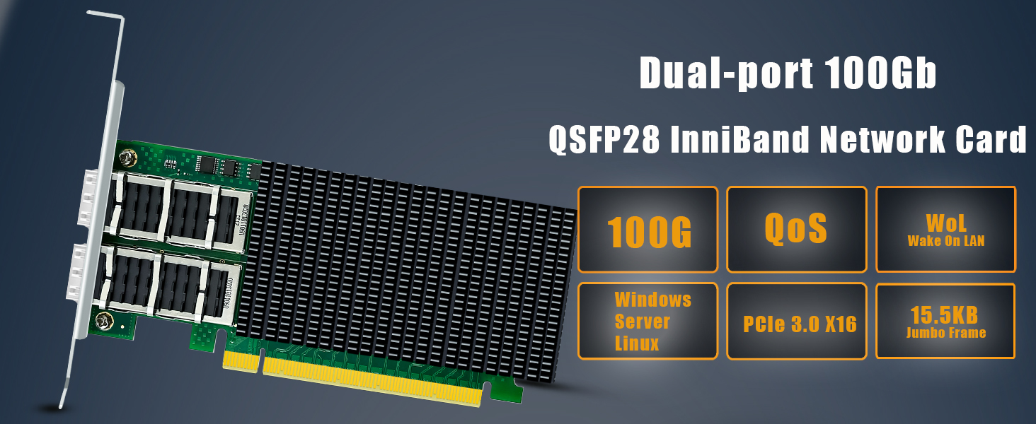 100Gb Network Card