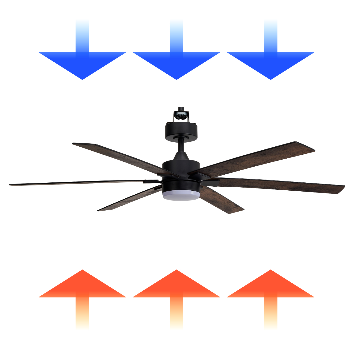 image for this item