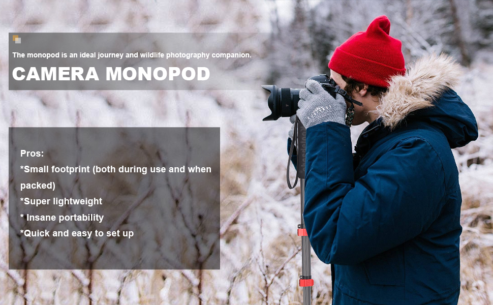 Camera Monopod Carbon