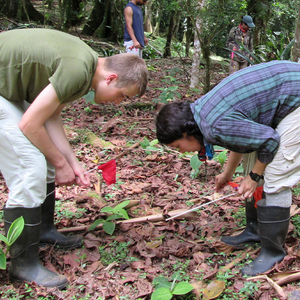 fieldwork