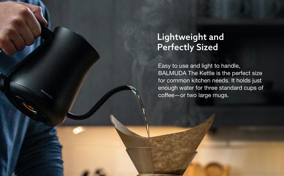 BALMUDA The Kettle | Electric Lightweight Gooseneck Kettle | Stainless  Steel | 0.6L (20fl oz) Capacity | Neon Light Indicator | Perfect for Tea  and