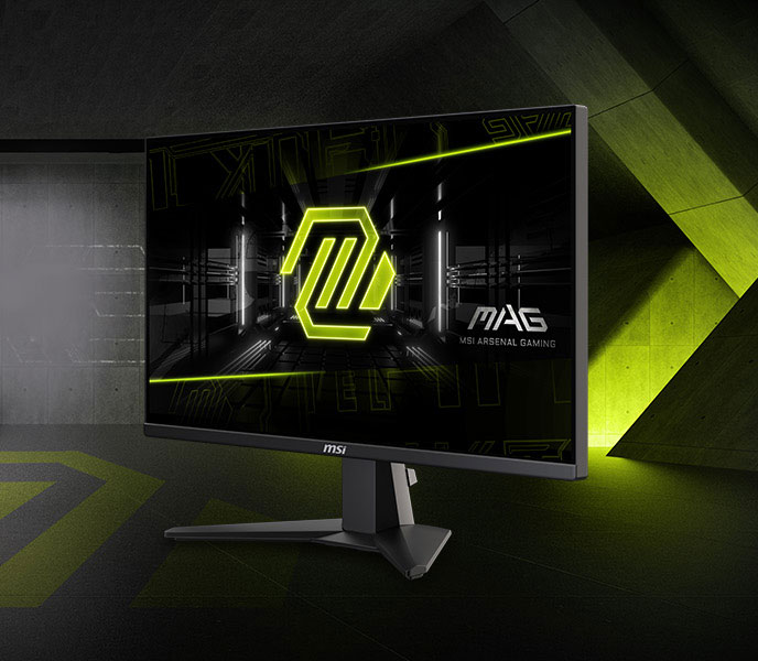 MSI MAG255XFV Gaming Computer Monitor