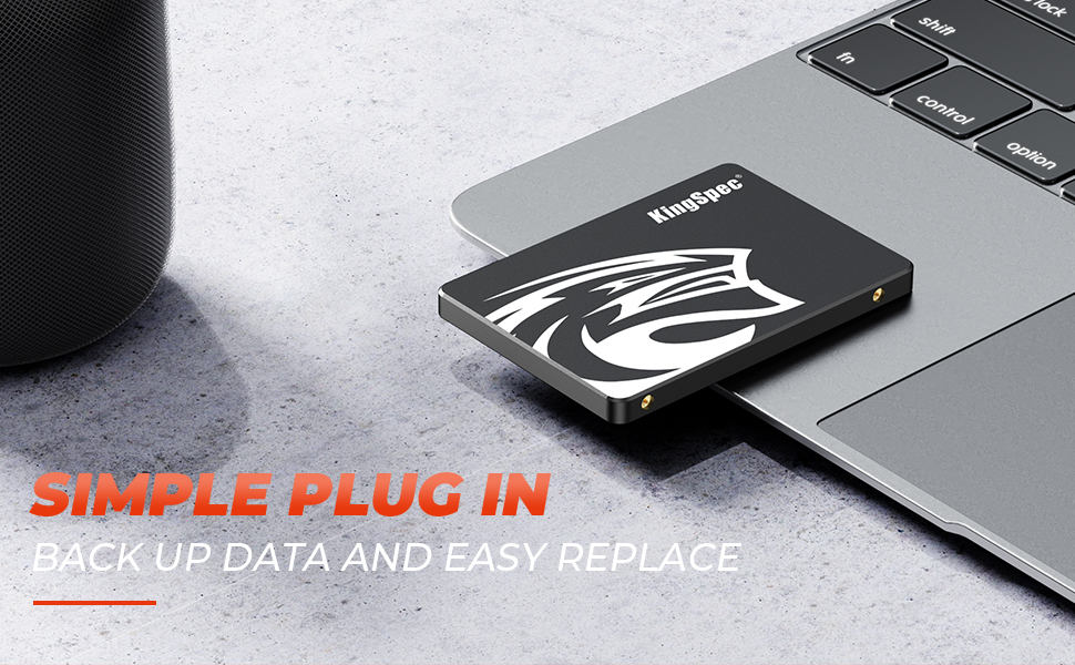 KingSpec SSD 2.5 SATA3 Internal Solid State Drive for PC,Laptop