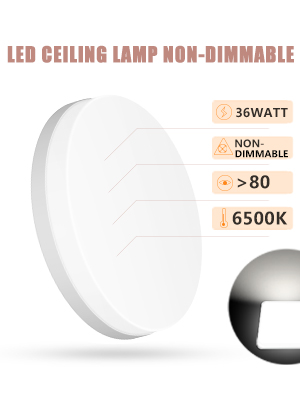 image for this item