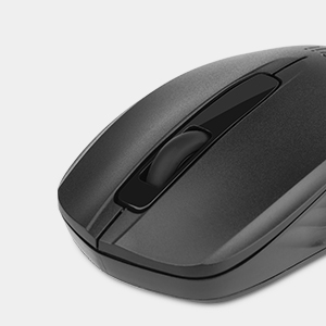 Mouse